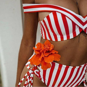 Off Shoulder Striped  Swimwear